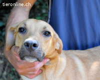 Ulbert - hat alles verloren...