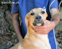 Ulbert - hat alles verloren...