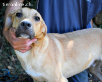 Ulbert - hat alles verloren...