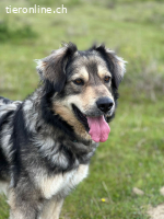 Unita – sie hat gegeben… wer gibt ihr jetzt Liebe?