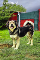 Unita – sie hat gegeben… wer gibt ihr jetzt Liebe?