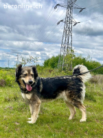 Unita – sie hat gegeben… wer gibt ihr jetzt Liebe?