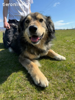 Unita – sie hat gegeben… wer gibt ihr jetzt Liebe?