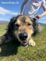 Unita – sie hat gegeben… wer gibt ihr jetzt Liebe?