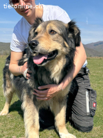 Unita – sie hat gegeben… wer gibt ihr jetzt Liebe?