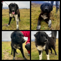 Unser A-Team auf der suche nach dem grossen Glück