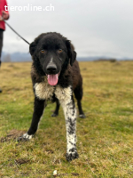 Unser A-Team auf der suche nach dem grossen Glück