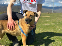 Usina - Zarte Seele auf der Suche nach Sicherheit und Liebe