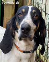 Valentin - Personaltrainer sucht Lebensstellung