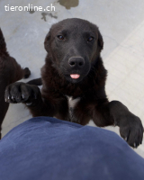 Verschmuste Olyvia sucht ihre Herzensmenschen