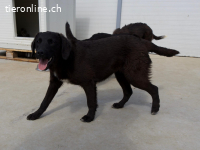 Verschmuste Olyvia sucht ihre Herzensmenschen