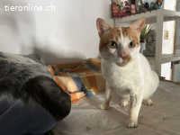 Verschmuster Singularito sucht seine Lieblingsmenschen