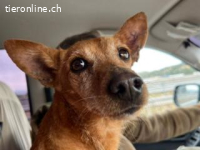 Viktoria -voller Liebe und Vertrauen