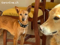 Viktoria -voller Liebe und Vertrauen