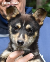 Vionella - Kuckuck...hallo...sind da draußen Menschen?