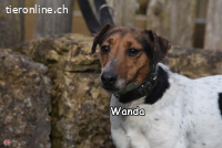 WANDA