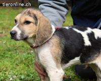 Wasker - Als Mama noch bei uns war...