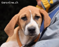 Waylo - Als Mama noch bei uns war...