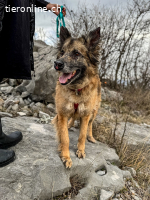 Wilma (4 Jahre)- Sonnenschein sucht Familie mit Herz