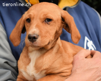 Wixelle - Als Mama noch bei uns war...