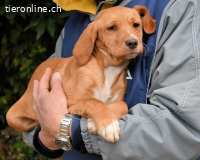 Wixelle - Als Mama noch bei uns war...