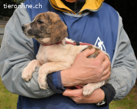 Woola - Als Mama noch bei uns war...