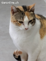 Xira - Zarte Seele auf der Suche nach Geborgenheit