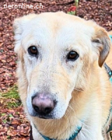 Yannick - verloren zwischen Angst und Bindung