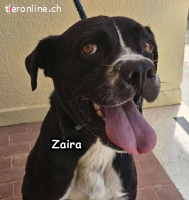Zaira