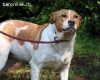 Zela - Noch sind wir da – aber träumen tun wir groß!