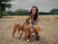 Zila-2, liebe+freundliche Hundedame die nach Zuwendung sucht
