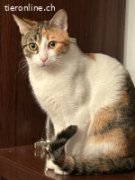 ZIZEL - LUSTIGES, VERSPIELTES, SUESSES UND SANFTES MAEDCHEN