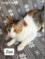 ZIZEL - LUSTIGES, VERSPIELTES, SUESSES UND SANFTES MAEDCHEN