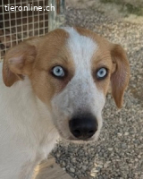 Zoe - Mit Schutzengeln gesegnet