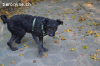 ZOKI - behinderte Oma sucht Menschen mit Herz!