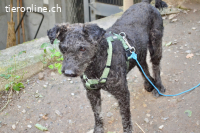 ZOKI - behinderte Oma sucht Menschen mit Herz!