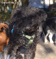 ZOKI - behinderte Oma sucht Menschen mit Herz!