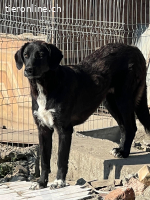 Zora - eine zauberhafte Schönheit