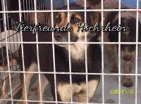 Tierschutzorganisation